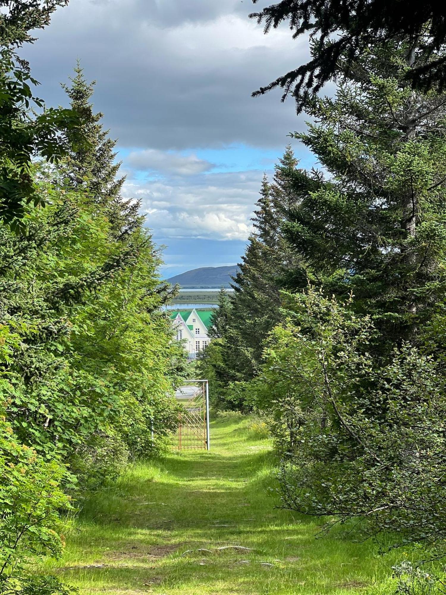 Bjork Guesthouse ラウガーバットン エクステリア 写真